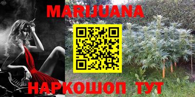 гидра Старая Купавна