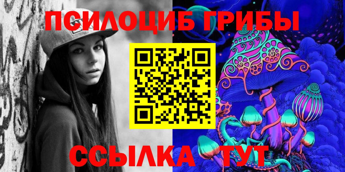 Галлюциногенные грибы мицелий  где купить наркоту  Псилоцибиновые грибы мухоморы  Нововоронеж  Вход с VPN 