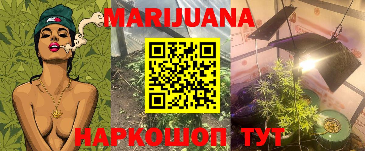 Нововоронеж  Бошки марихуана сатива  Вход с VPN  Шишки марихуана White Widow  МАРИХУАНА сатива 